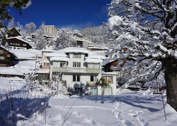 Bergfried By Interhome Apartamento Engelberg